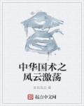 小说：中华国术之风云激荡，作者：吾民良品