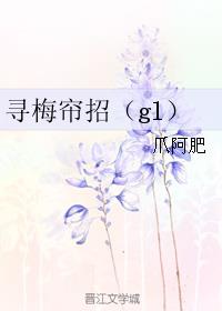 小说：寻梅帘招（gl），作者：爪阿肥