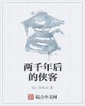 小说：两千年后的侠客，作者：做人韧性些