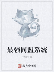 小说：最强同盟系统，作者：小胖lee