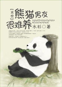 小说：熊猫男友很难养，作者：水杉
