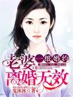 小说：一纸婚约：老婆，离婚无效，作者：鬼沐沐