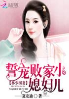 小说：林少拐妻：誓宠败家小媳妇儿，作者：夏安迪