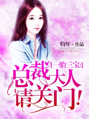 小说：一胎三宝：总裁大人请关门！，作者：灼年