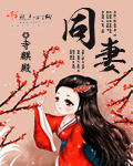 小说：同妻，作者：寺麒殿