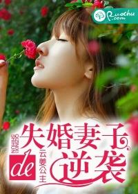 小说：失婚妻子的逆袭，作者：云姜公主