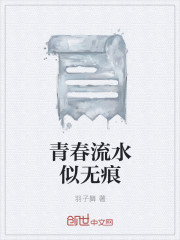 小说：青春流水似无痕，作者：羽子舞