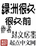 小说：西部游记，作者：封文居墨