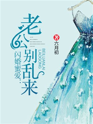 小说：闪婚蜜爱：老公别乱来，作者：六月初