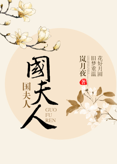 小说：国夫人，作者：岚月夜