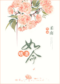 小说：嗜妻如命，作者：柔南