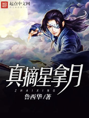 小说：真摘星拿月，作者：鲁西华