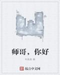 小说：师哥，你好，作者：何袅袅