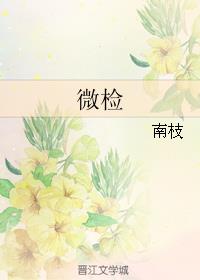 小说：微检，作者：南枝