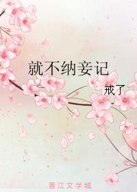 小说：就不纳妾记，作者：戒了