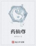 小说：药仙尊，作者：最美遗言