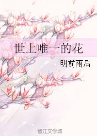 小说：世上唯一的花，作者：明前雨后