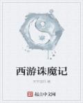 小说：西游诛魔记，作者：天宇技师