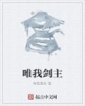 小说：唯我剑主，作者：菊島書生