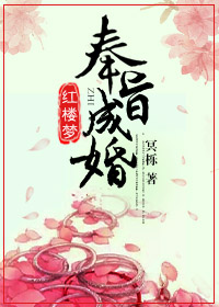 小说：[红楼]奉旨成婚，作者：冥栎